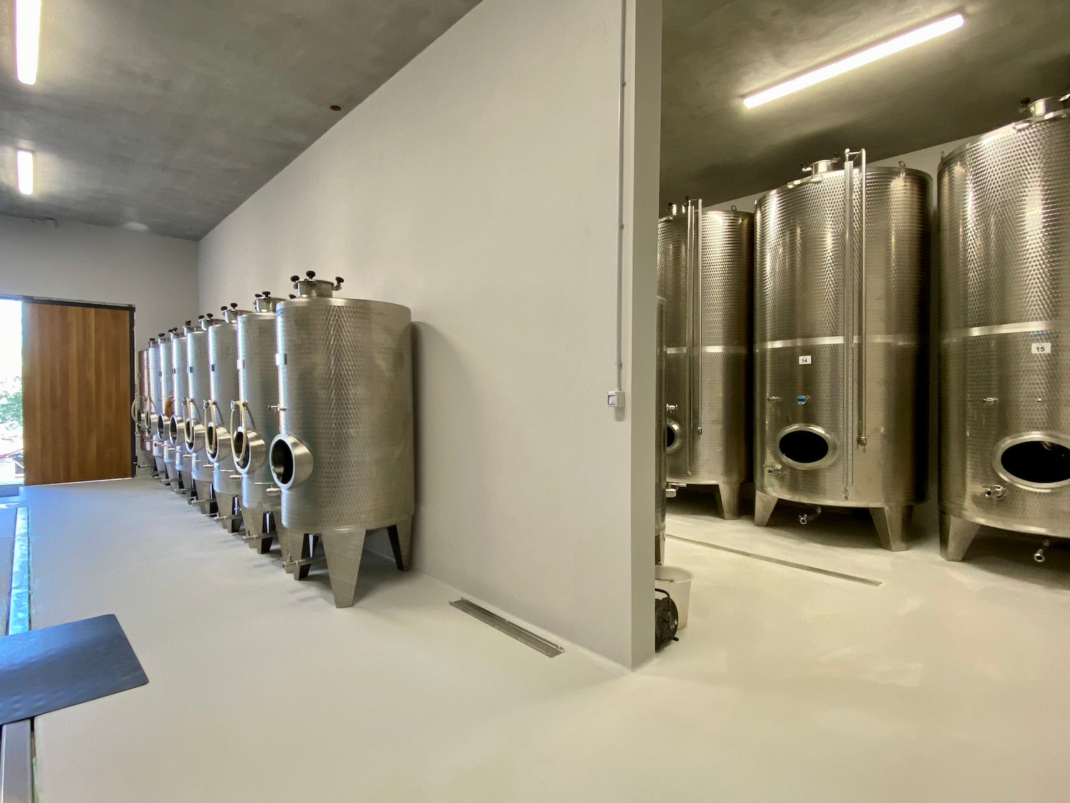 Olive oil cellar - storage